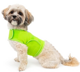 Mellow Shirt Dog Anxiety Calming Wrap, XX-Small, Lime