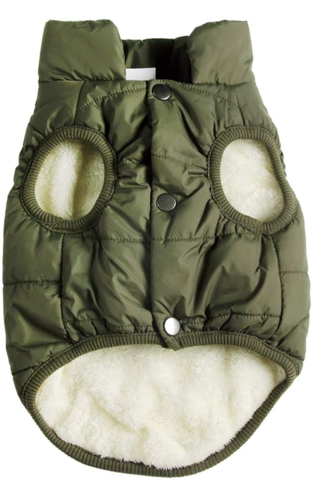 JoyDaog 2 Layers Fleece Lined Warm Dog Jacket for Puppy Winter Cold Weather,Soft Windproof Small Dog Coat,Green M