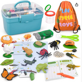 Life Cycle Learning & Education Toys, Montessori Toys Animal Toy Figurines for Frog, Butterfly, Chicken, Ladybug - Educational & Fun Matching Game Preschool Learning Toys Outdoor Explorer Kit