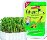 Miracle Care Cat-A'bout Cat Grass For Indoor Cats [Easy to Grow Cat Grass Kit] Cat Grass Growing Kit Includes Potting Mix, Seeds, and Container, Multi-Cat Size, 5.25 oz.
