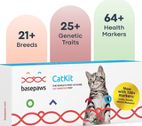 Basepaws Cat DNA Test Kit - Comprehensive Breed, Health and Dental Analysis Across 114 Traits for Accurate and Easy-to-Use Genetic Insights