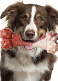 CHONGBAOSHI Dog Chew Toys for Aggressive Chewer,Bone Toy Nylon Durable Large Dogs,Indestructible Flavor Dog Toys for Medium/Large Dogs Breed,Dog Gifts (Beef, 1 PCS)