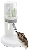 Wontee Hamster Water Bottle with Stand for Dwarf Hamsters Syrian Hamster Mice Gerbils Rats (4oz, White)