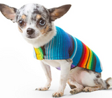 Dog Clothes - Handmade Dog Poncho from Authentic Mexican Blanket (Blue, XXS)
