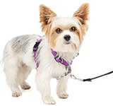 PetSafe 3 in 1 No-Pull Dog Harness - Walk, Train or Travel - Helps Prevent Pets from Pulling on Walks - Seatbelt Loop Doubles as Quick Access Handle - Reflective Accents - Extra Small, Plum