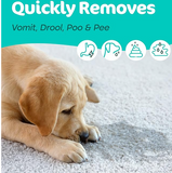 Sunny & Honey Pet Stain & Odor Miracle - Enzyme Cleaner for Dog Urine Cat Pee Feces Vomit, Enzymatic Solution Cleans Carpet Rug Car Upholstery Couch Mattress Furniture, Stain Eliminator (32FL OZ)